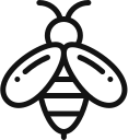 honey-1-bee-1