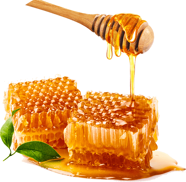 honey-1-chooseus-1-1e-4 Impreagri Arzachena | Gestione del Verde e Apicoltura