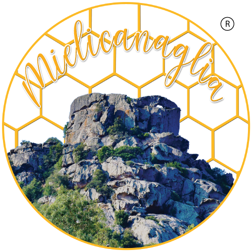Logo-Mielicanaglia